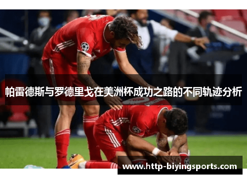 帕雷德斯与罗德里戈在美洲杯成功之路的不同轨迹分析
