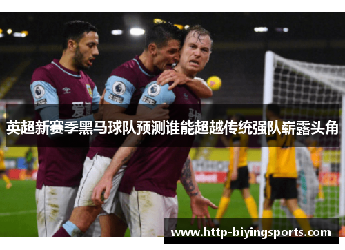 英超新赛季黑马球队预测谁能超越传统强队崭露头角