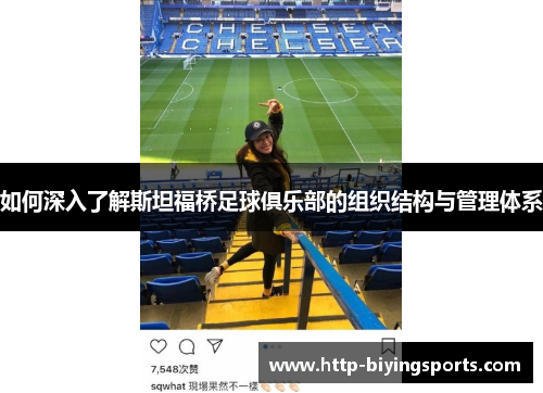 如何深入了解斯坦福桥足球俱乐部的组织结构与管理体系