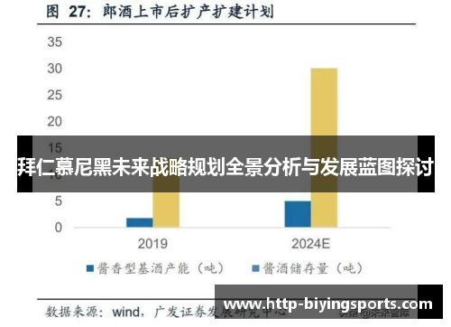 拜仁慕尼黑未来战略规划全景分析与发展蓝图探讨