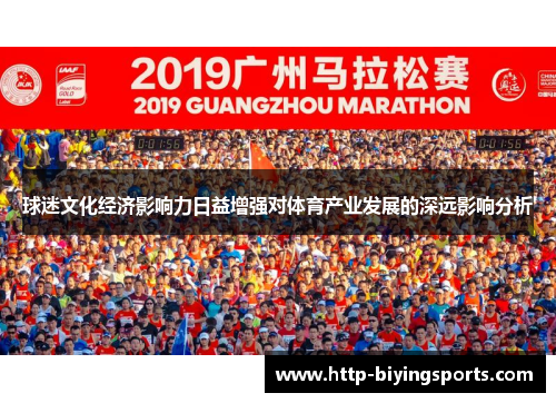 球迷文化经济影响力日益增强对体育产业发展的深远影响分析